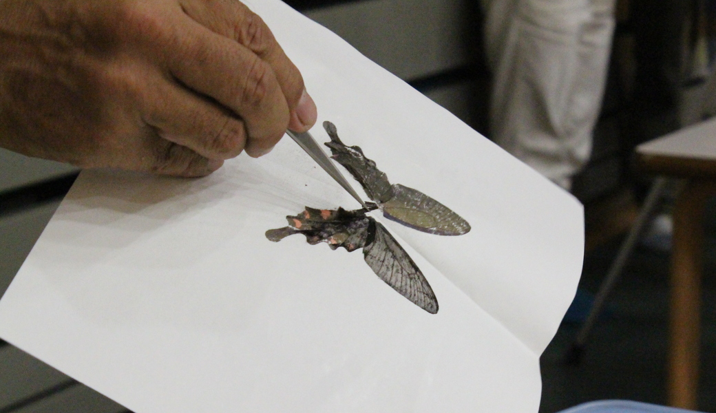 ゲッチョ先生と開く異世界への扉～子どもに伝える身近な自然の楽しみ方～ 虫嫌い克服編 レポート