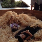 NPO法人木育フォーラム プロフィール