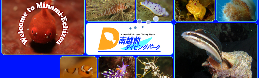 南越前ダイビングパーク カバー