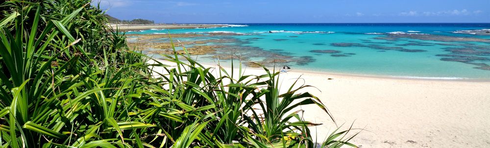 奄美市役所環境対策課 カバー