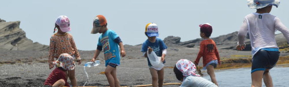 一般社団法人森のようちえんはっぴー カバー