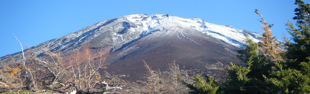 山梨自然体験支援センター カバー