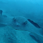 ken-wata プロフィール