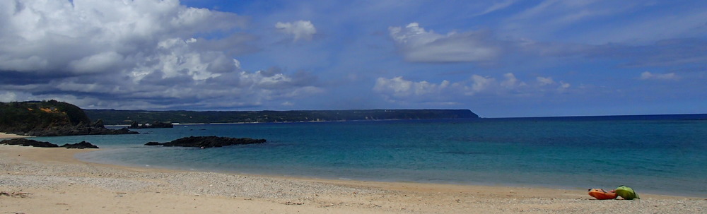 やんばる自然塾 カバー