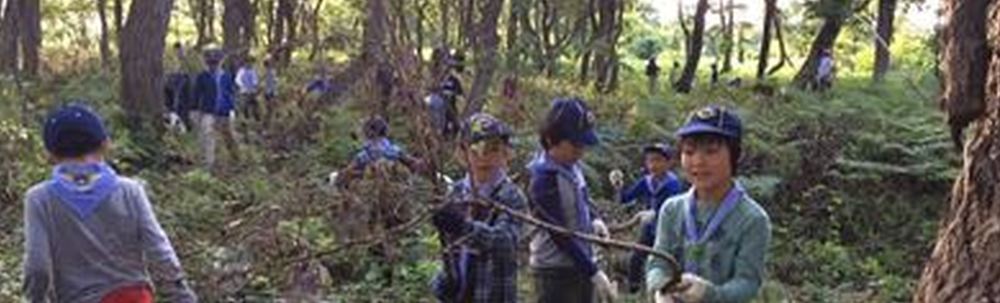 ボーイスカウト文京第5団 カバー