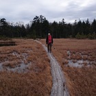 野生会 プロフィール