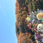 NPO法人こども自然公園どろんこクラブ プロフィール