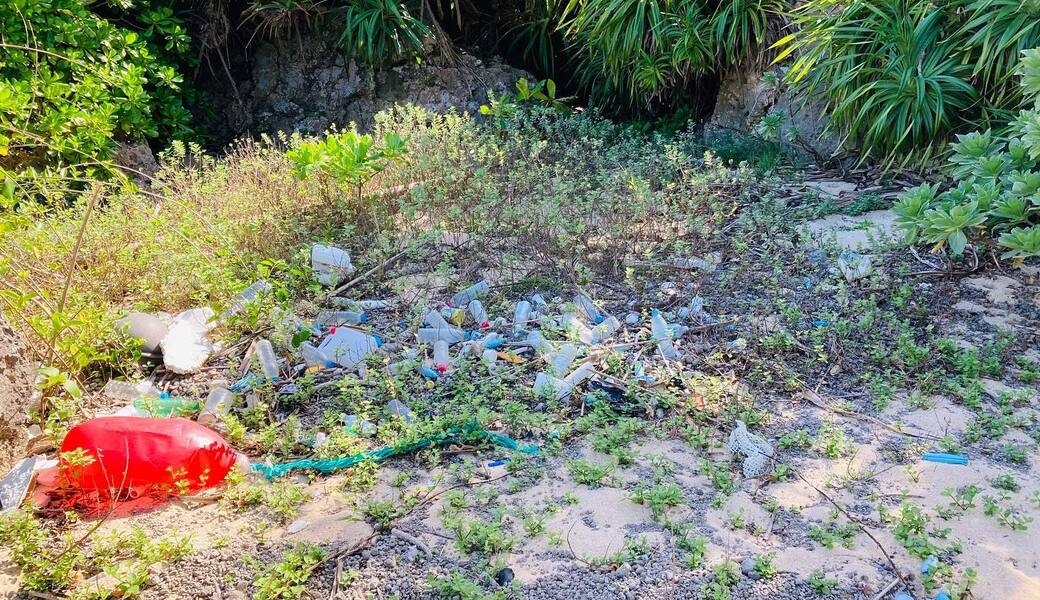 宮古の海をキレイにし隊定例ビーチクリーン＠真謝ビーチ アイキャッチ