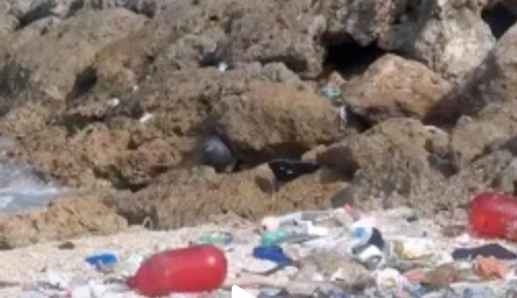 宮古の海をキレイにし隊定例ビーチクリーン＠保良漁港 アイキャッチ