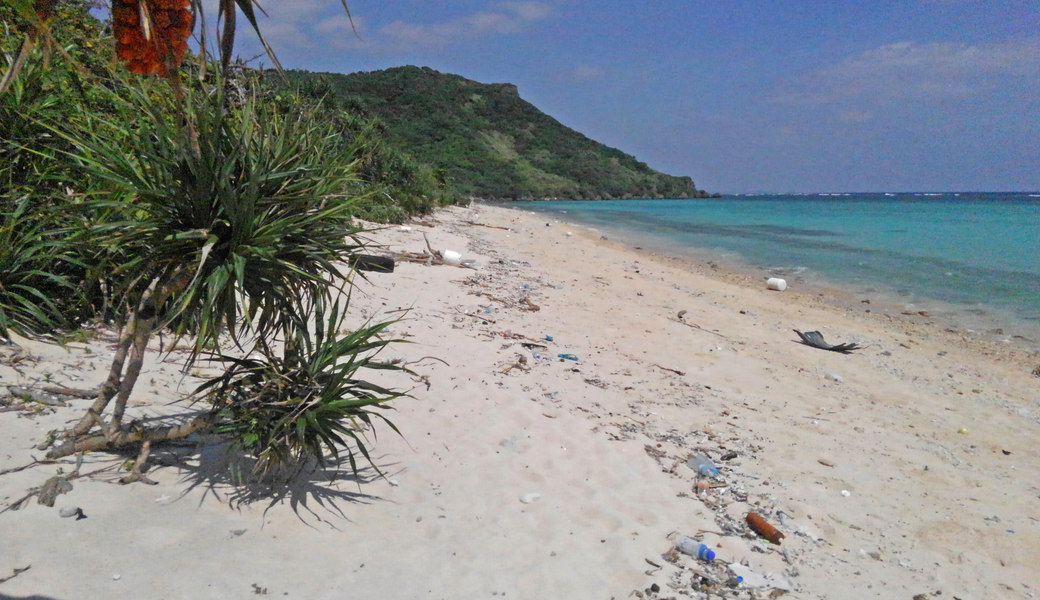 宮古島　新城海岸ビーチクリーニング アイキャッチ