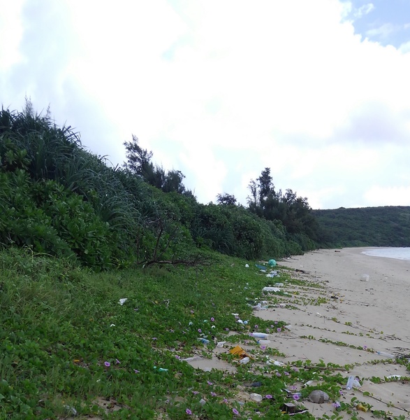 宮古島　高野漁港北ビーチクリーニング アイキャッチ
