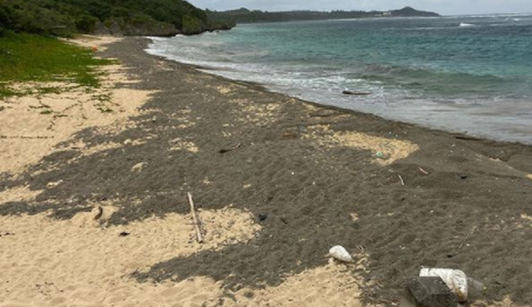 宮古の海をキレイにし隊定例ビーチクリーン＠真謝ビーチ アイキャッチ