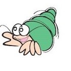 クリーン・ビーチいしかわ プロフィール