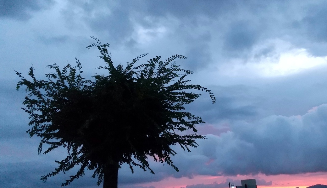 ツキイチ・ビーチクリーン アイキャッチ