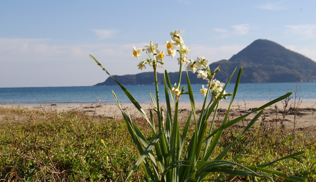 月イチ・ビーチクリーン アイキャッチ