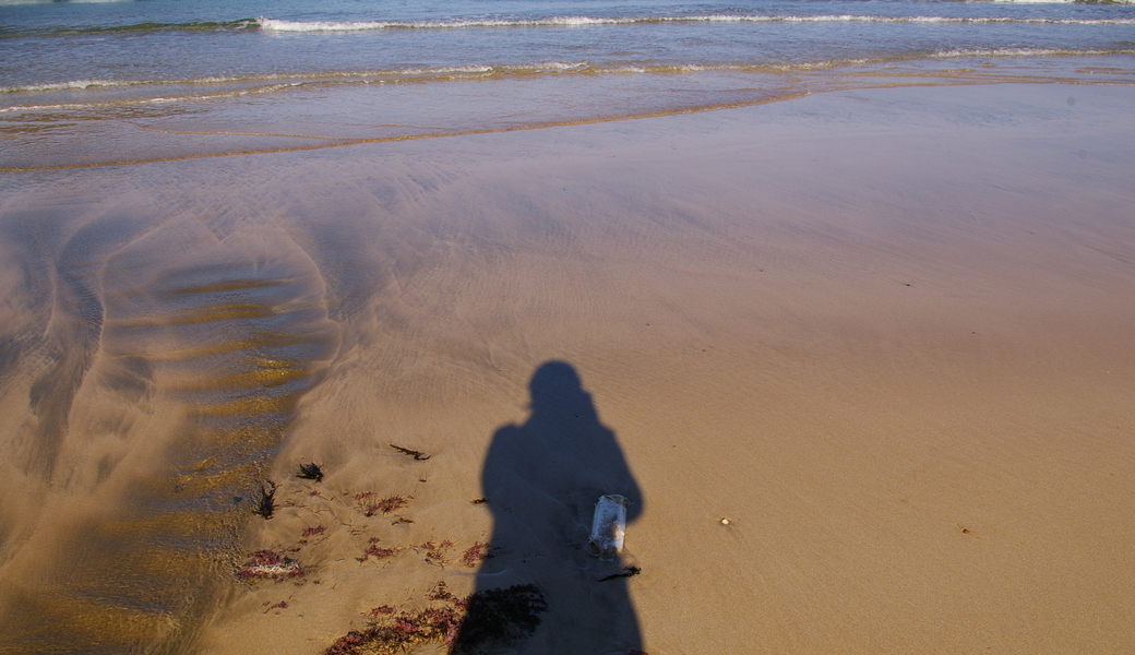 月イチ・ビーチクリーン アイキャッチ