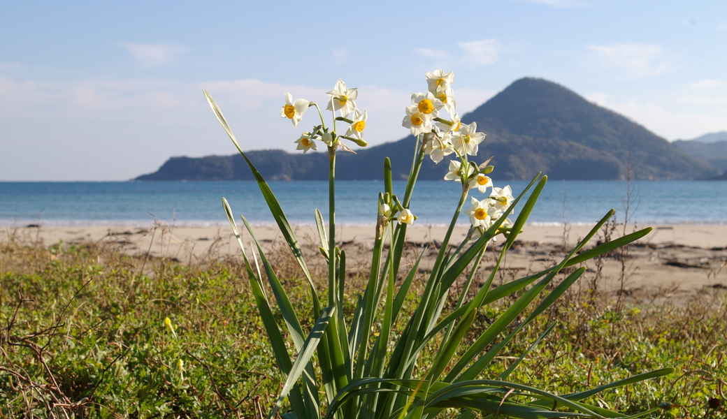 月イチ・ビーチクリーン アイキャッチ