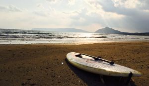 Lady beach clean 1 アイキャッチ