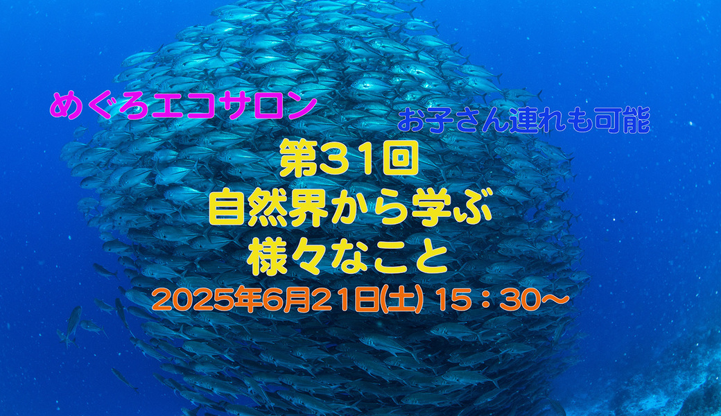 第31回めぐろエコサロン「自然界から学ぶ様々なこと」 アイキャッチ