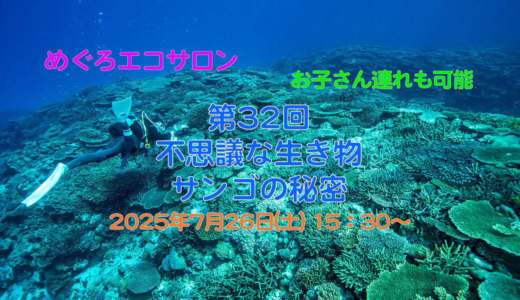 第32回めぐろエコサロン「不思議な生き物サンゴの秘密」 アイキャッチ