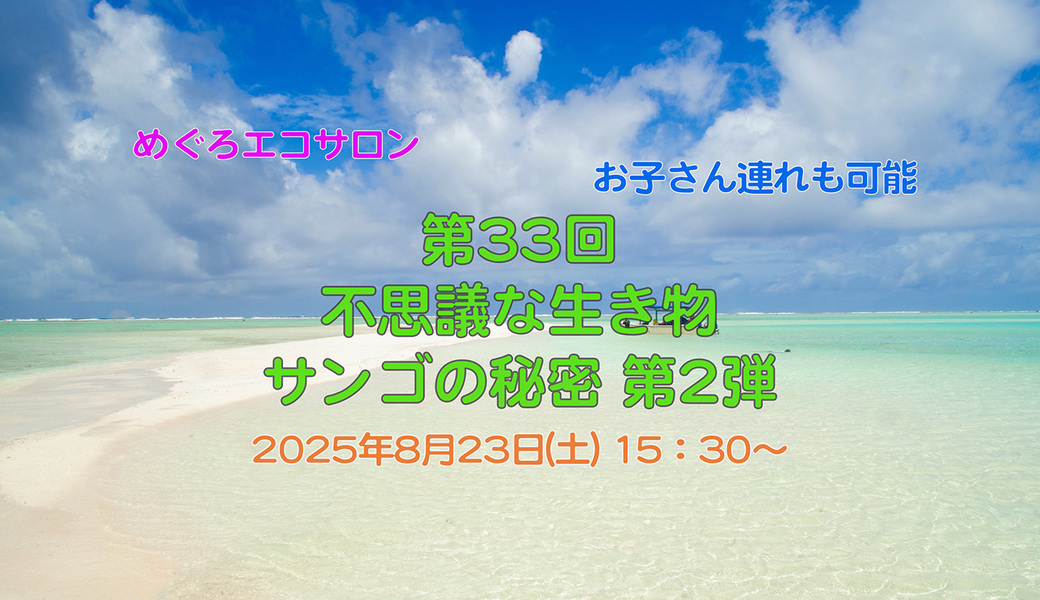 第33回めぐろエコサロン「不思議な生き物サンゴの秘密 第2弾」 アイキャッチ