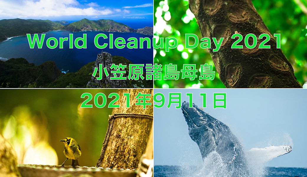 マイクロクリーンアップキャンペーンと母島観光協会との共催によるWCD【World Cleanup Day 2021】 アイキャッチ
