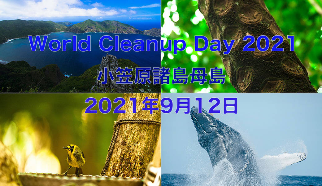 マイクロクリーンアップキャンペーンと母島観光協会との共催によるWCD【World Cleanup Day 2021】 アイキャッチ
