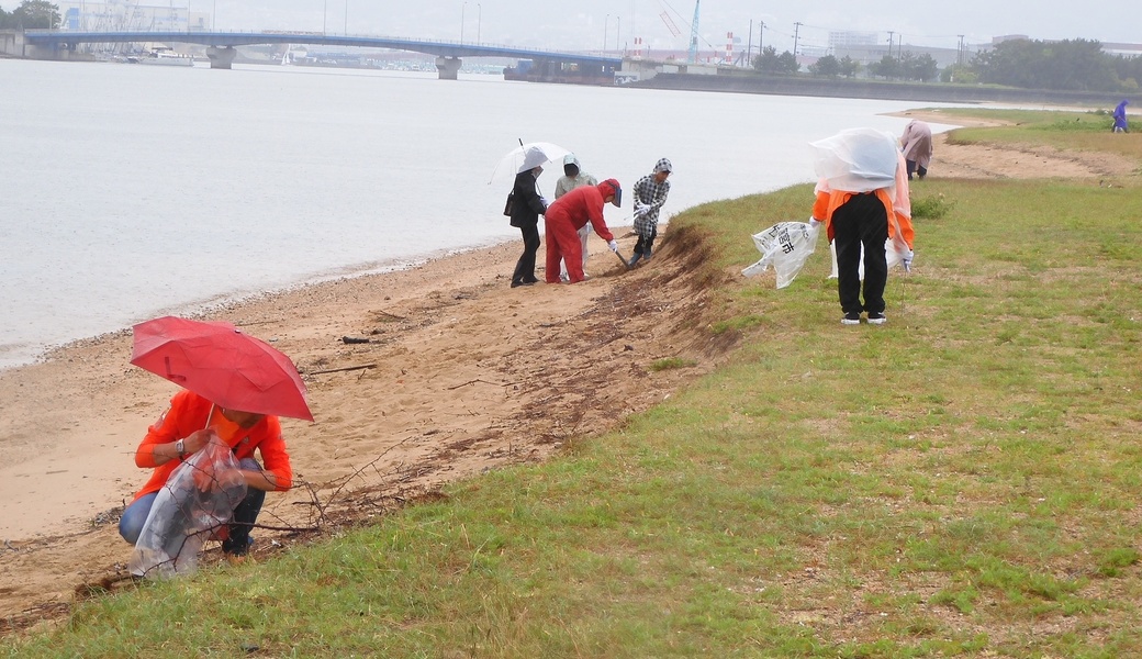 甲子園浜海浜清掃 レポート