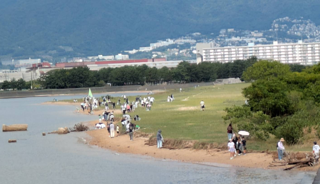 甲子園浜海浜清掃 レポート