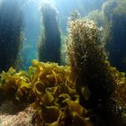 ダイビングサービス　フリーウェイ プロフィール