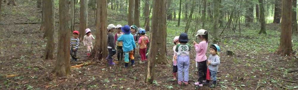 Fujiこどもの家バンビーノの森 カバー