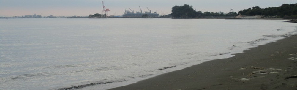 小松島市 カバー