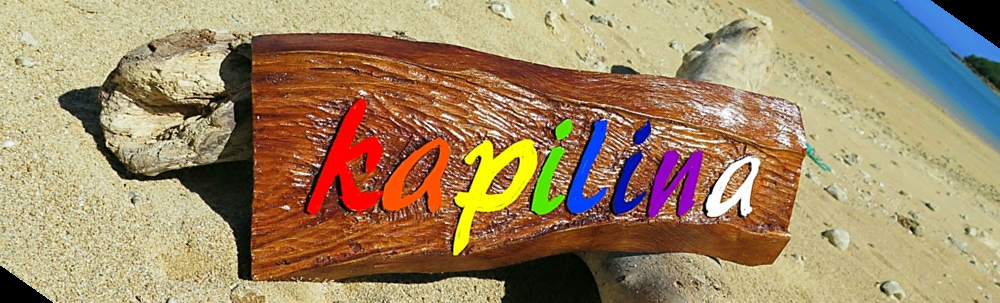 宮古島ダイビングショップ　カピリナ カバー