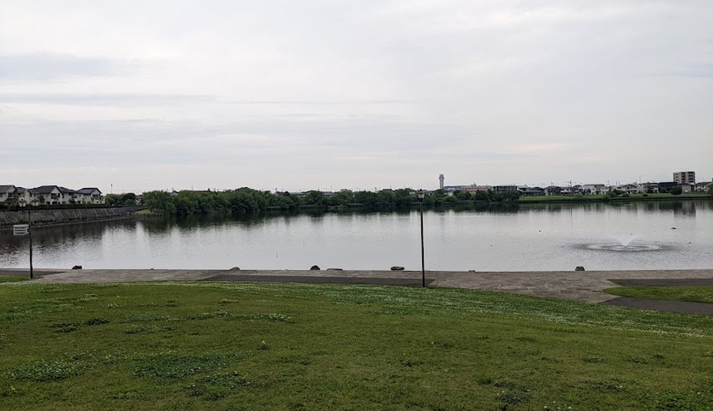 １２５．深川海さくら アイキャッチ