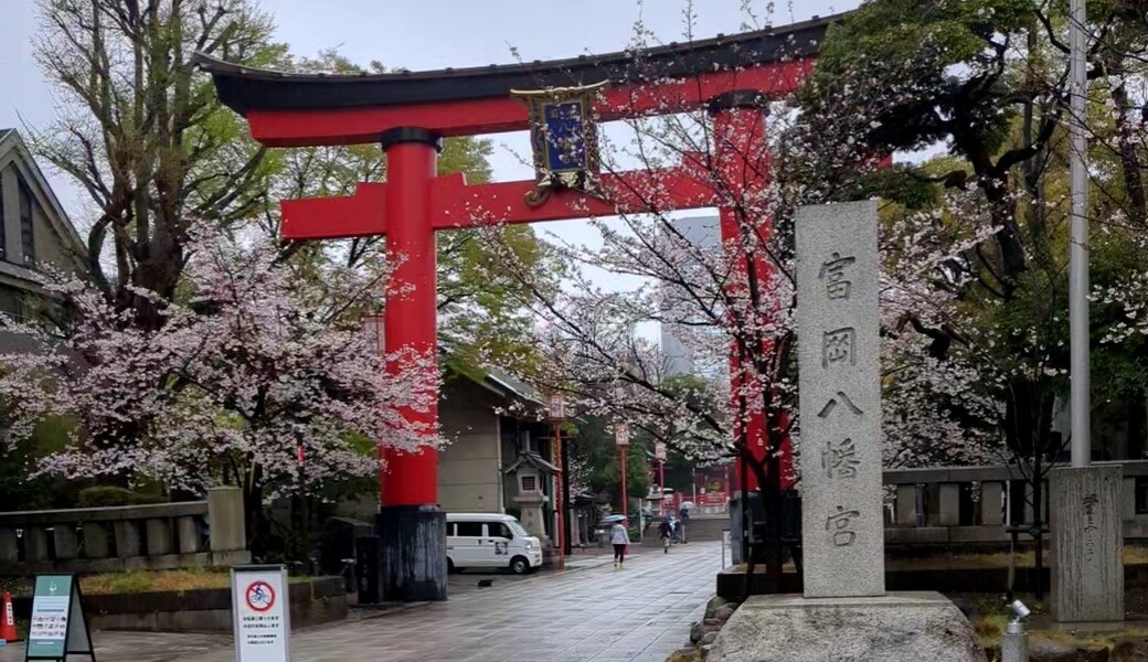 １５５．深川海さくら アイキャッチ