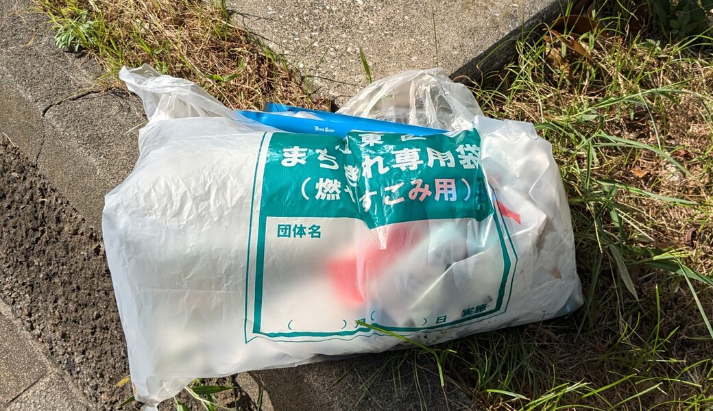 ２００．亀戸ゴミ拾い(はねかめ公園) アイキャッチ