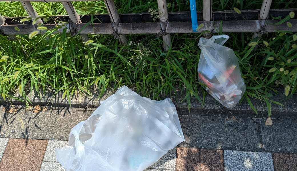 ２４３．亀戸ゴミ拾い(歩行者天国バージョン) アイキャッチ