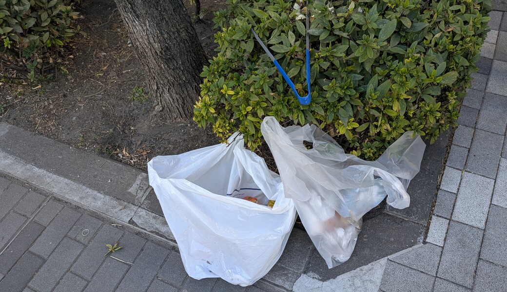 ２５７．芝浦アイランド アイキャッチ