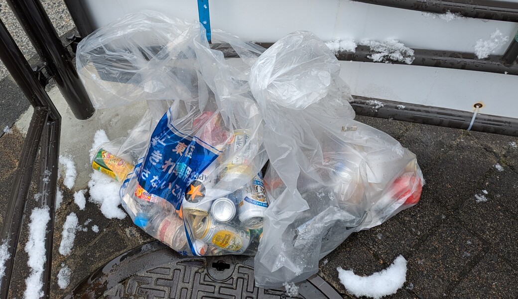 ２５８．亀戸ゴミ拾い(歩行者天国バージョン) アイキャッチ