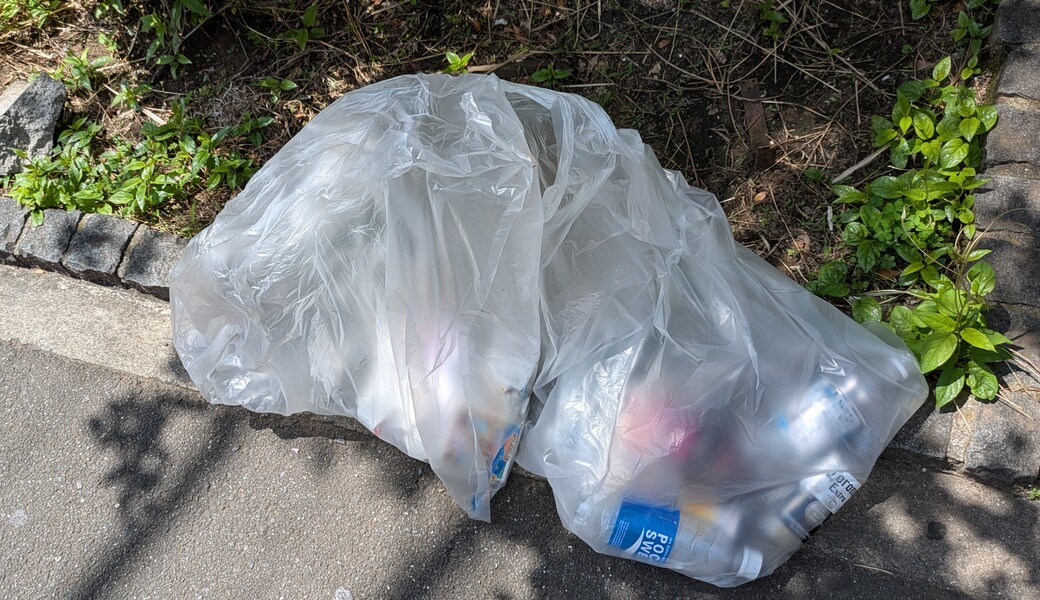 ２６６．亀戸ゴミ拾い(歩行者天国バージョン) アイキャッチ