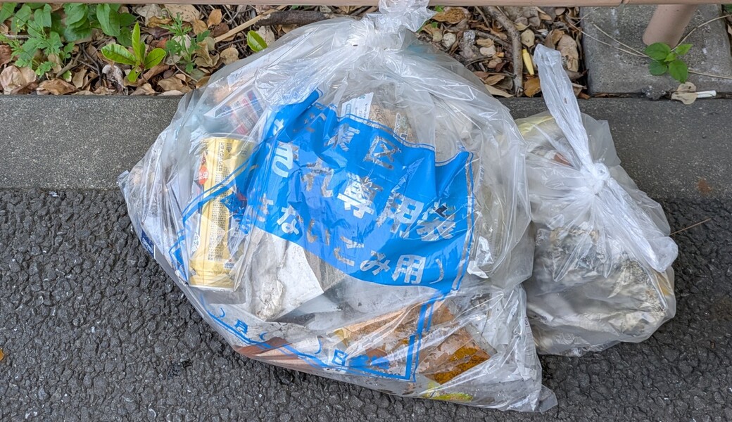 ２６７．深川海さくら アイキャッチ