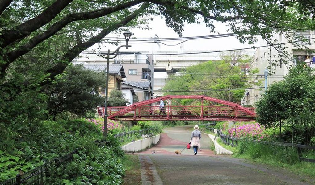 ９４．深川海さくら アイキャッチ