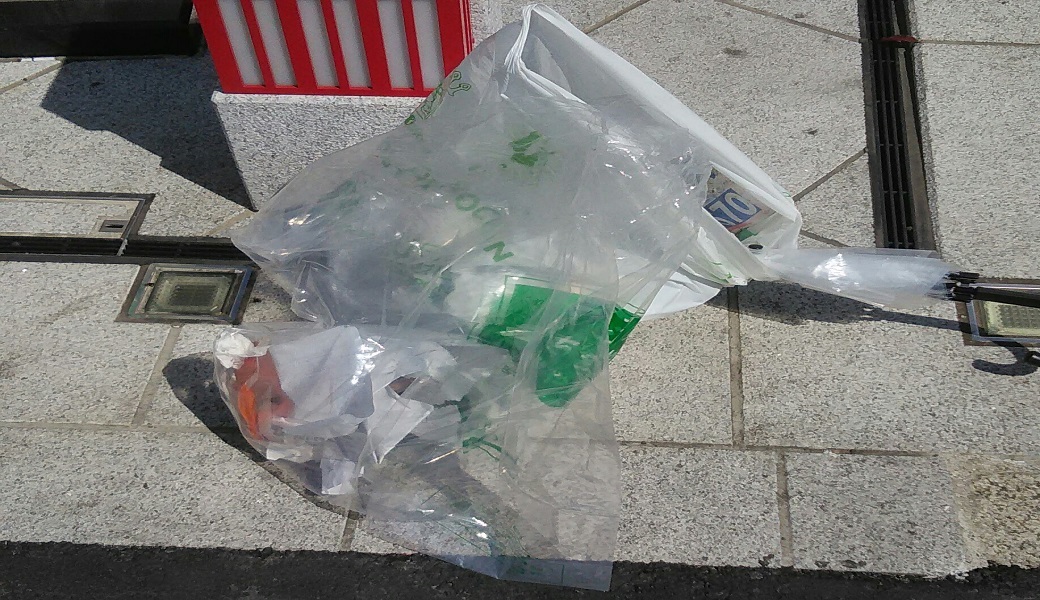 ４３．深川海さくら レポート