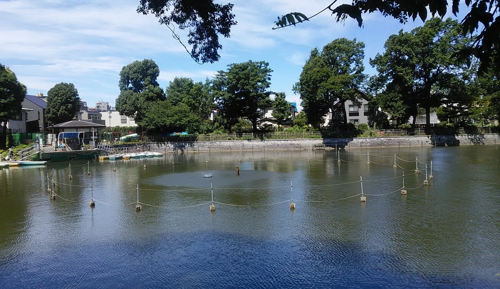 ５２．鷹番海さくら レポート