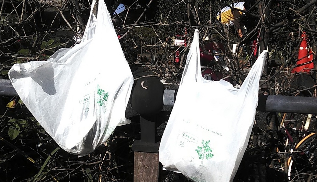 ６６．お台場クリーンアップ（東京ベイクリーンアップ大作戦） レポート