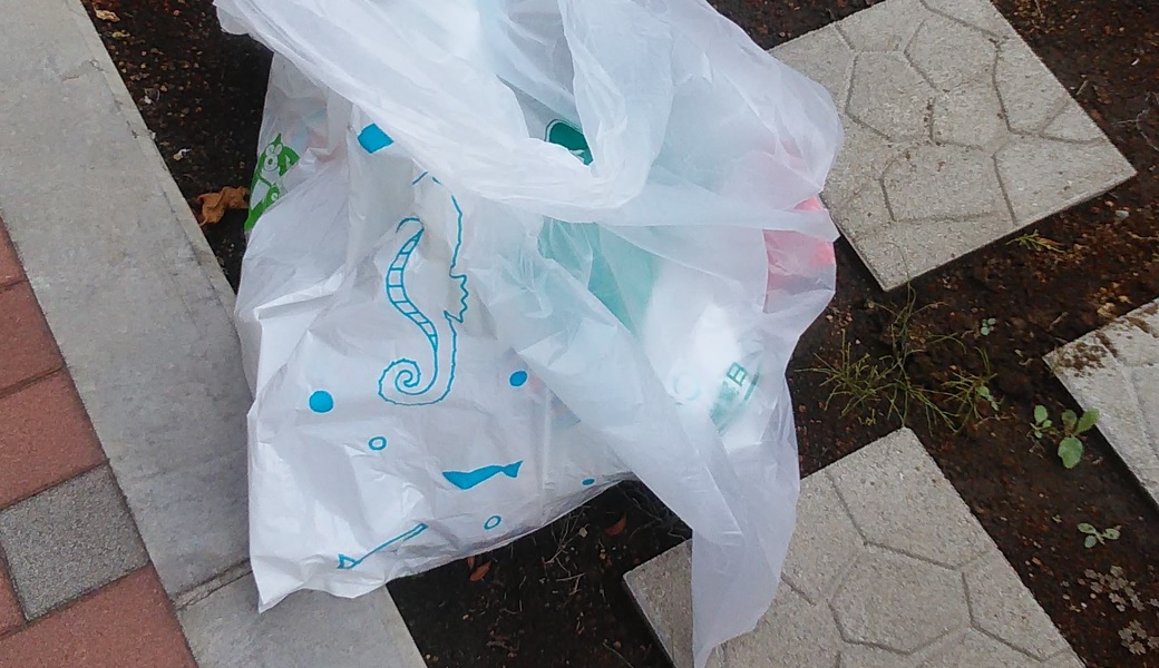 ６５．深川海さくら（いかだレースの巻） レポート