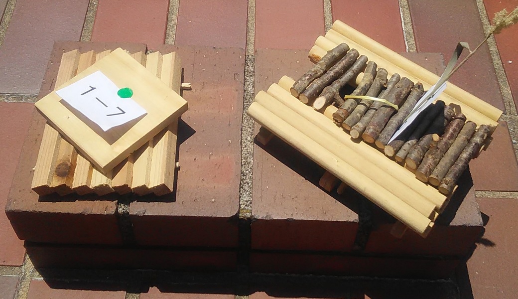 ８０．深川海さくら（令和初・いかだレースの巻） レポート