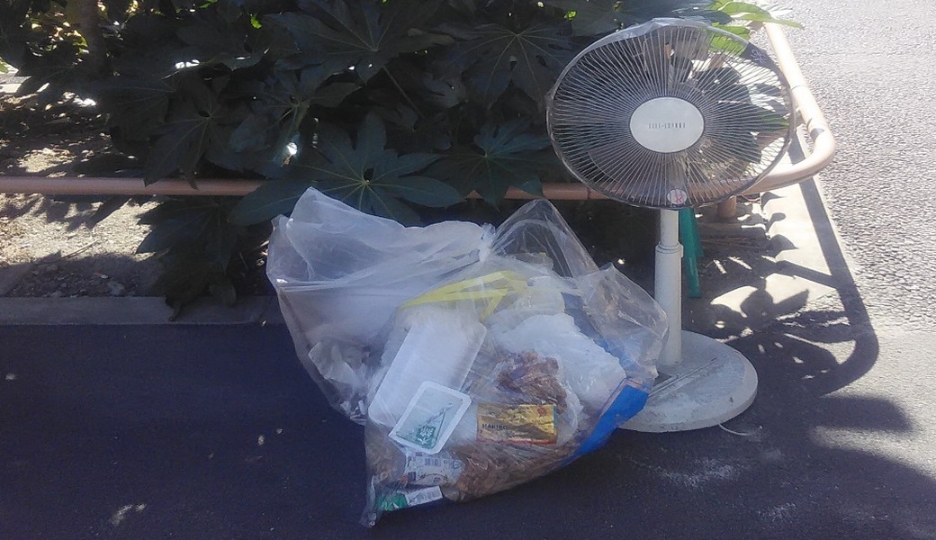 １０８．深川海さくら レポート