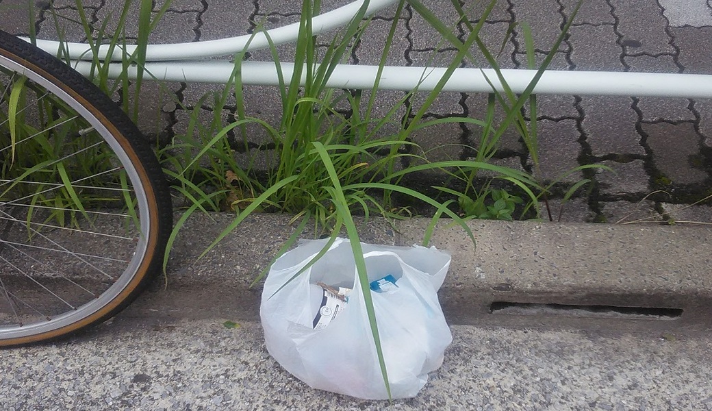 １１４．近所をごみ拾いしてみました　Ｐａｒｔ４ レポート