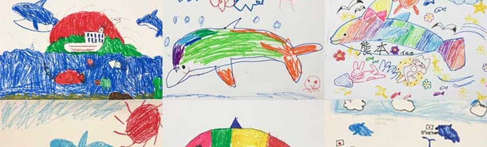 海と日本プロジェクトinくまもと カバー